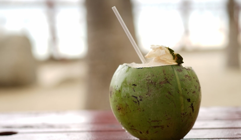 Why You May Want to Avoid Drinking Coconut Water Straight From the Shell